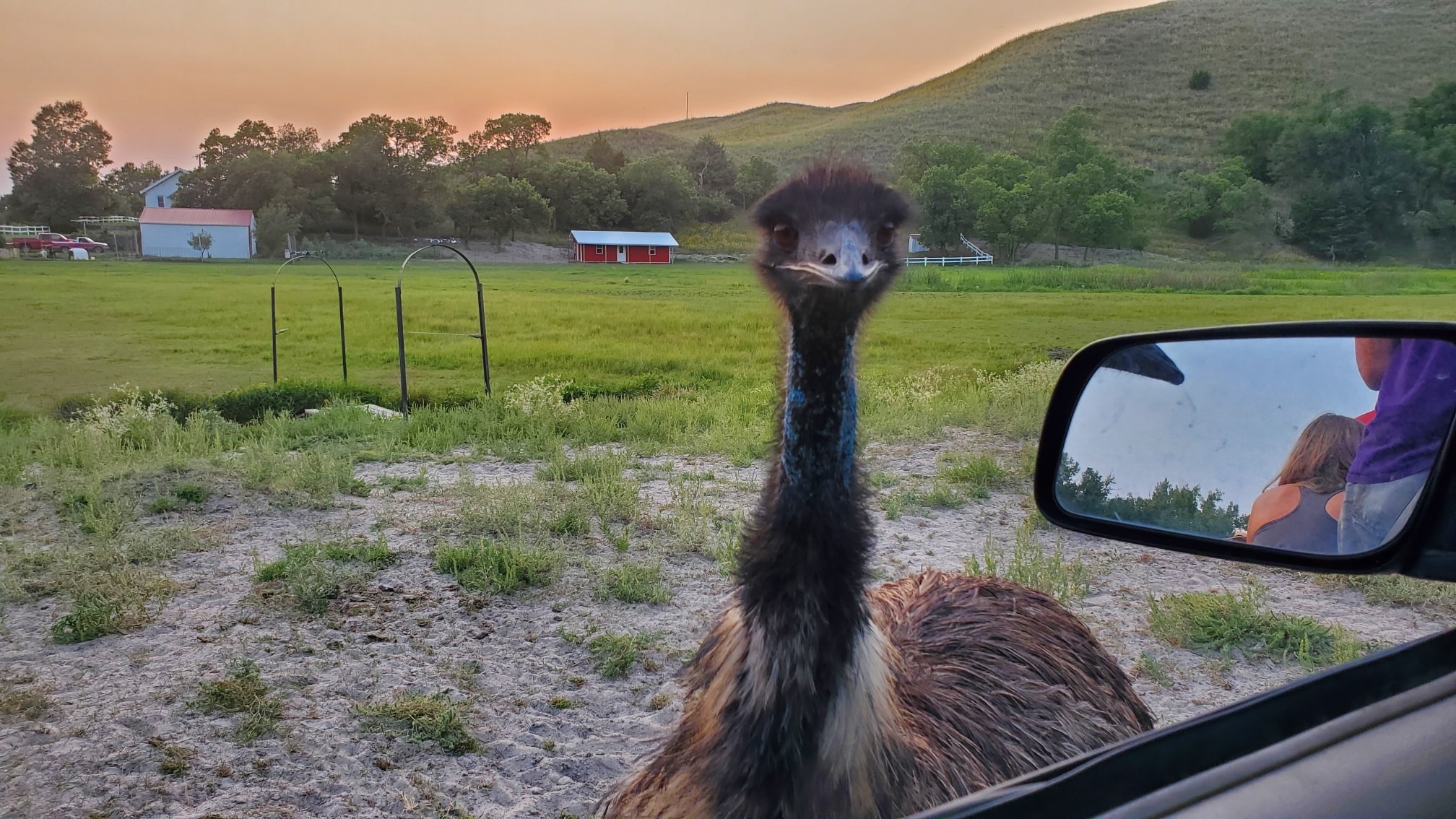 Stable Productions Exotic Animal Ranch near Thedford Nebraska with family-friendly animal encounters