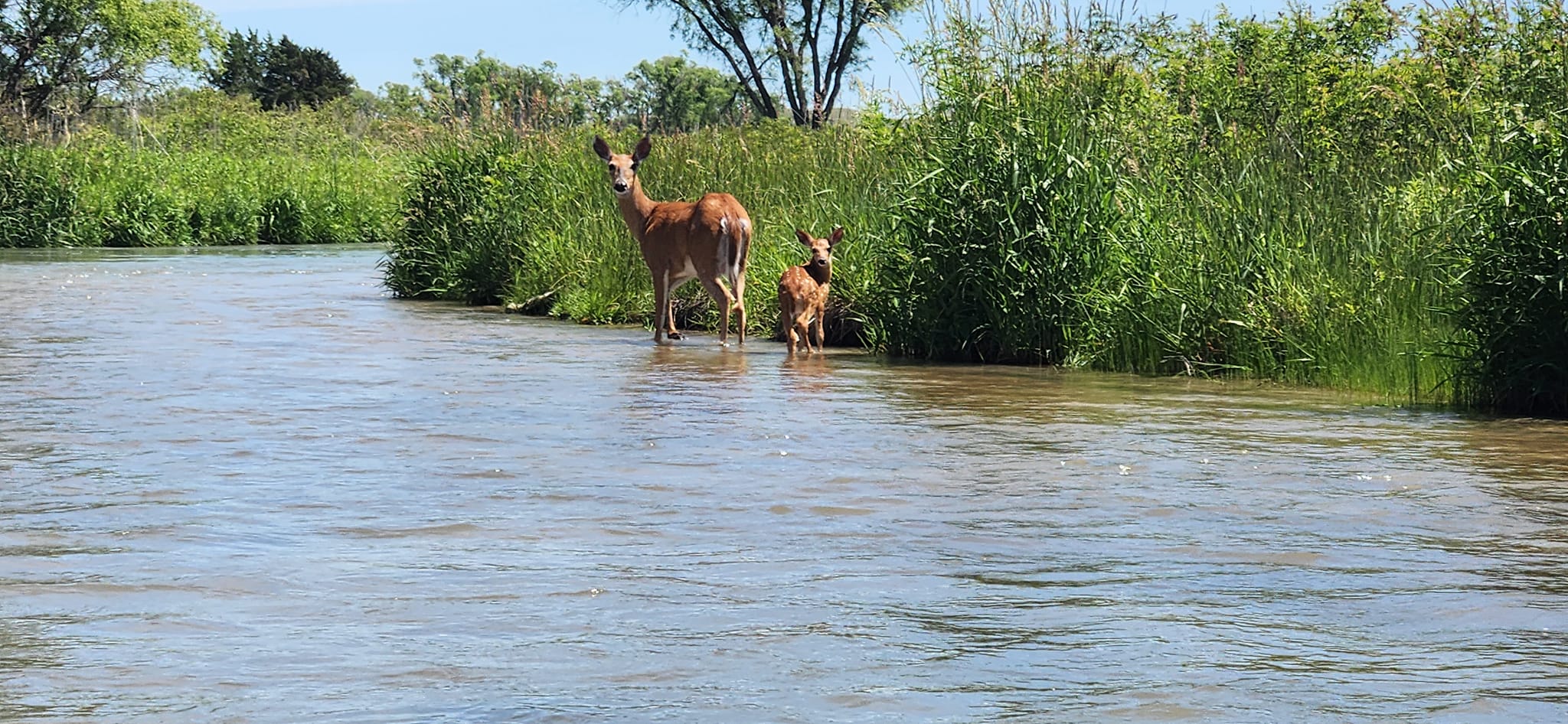 Simple, Stress-Free River Experiences