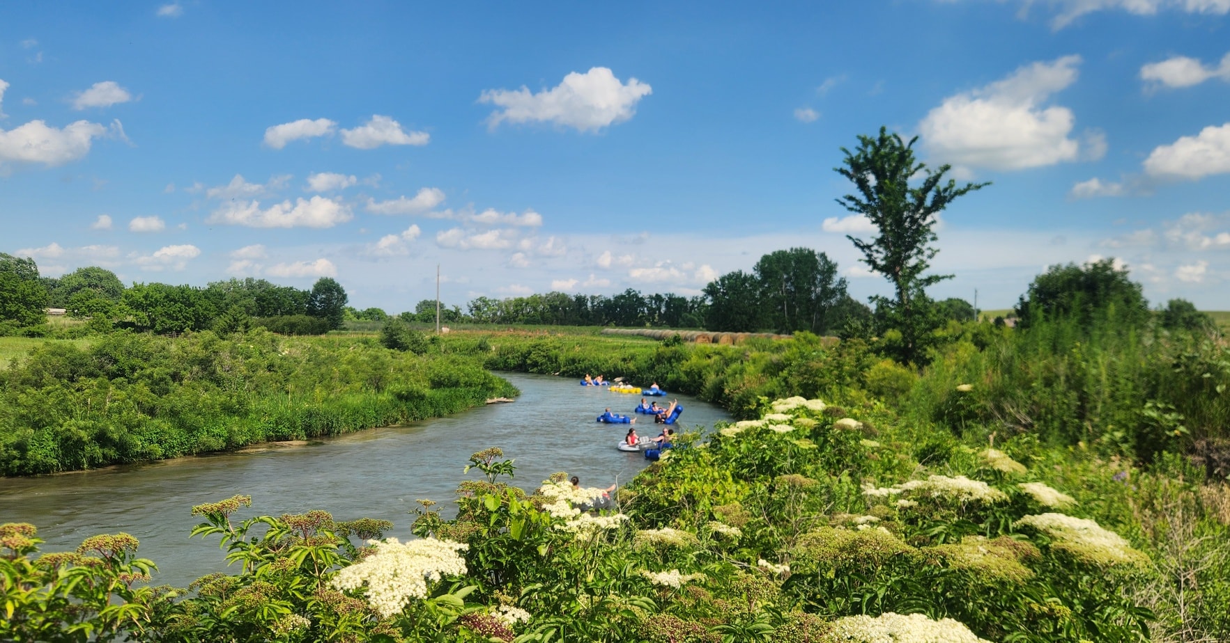 Why We Do What We Do